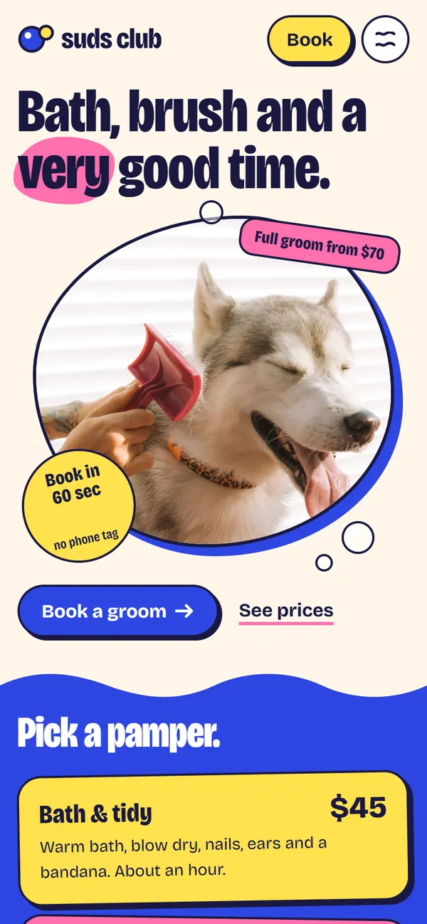 Concept homepage for a made-up dog groomer, Suds Club, in bubblegum, lemon and cobalt: the headline Bath, brush and a very good time, a husky being brushed in a bubble shaped frame and price stickers